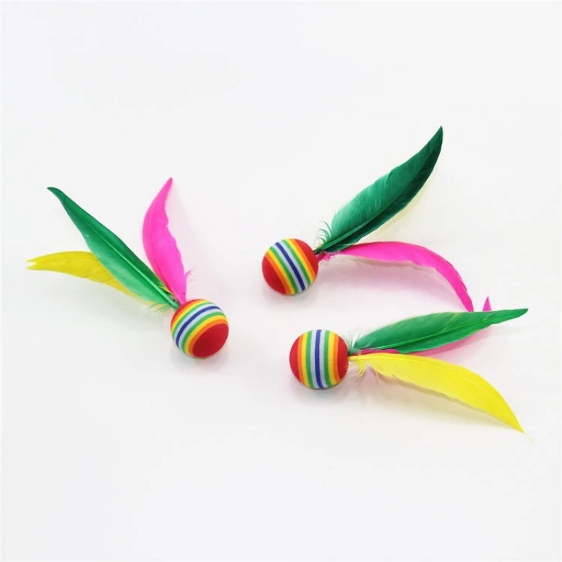Jazzminton Outdoor Badminton B - Badminton Outdoor review and price