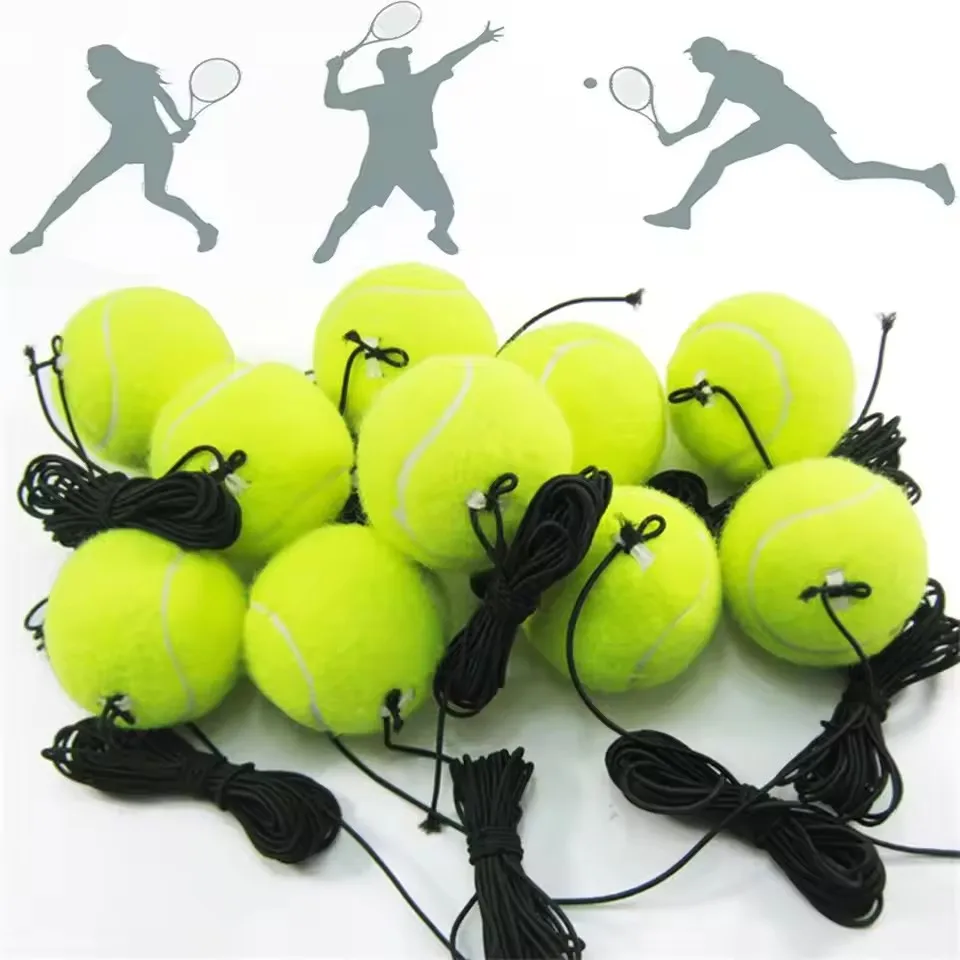 Professional Tennis Training P - Badminton Rebound Trainer review and price